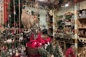 Make memories at Christmas and throughout the year 18 Make memories at Christmas and throughout the year 17